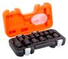 Набор торцевых головок, пластиковый кейс D/S14